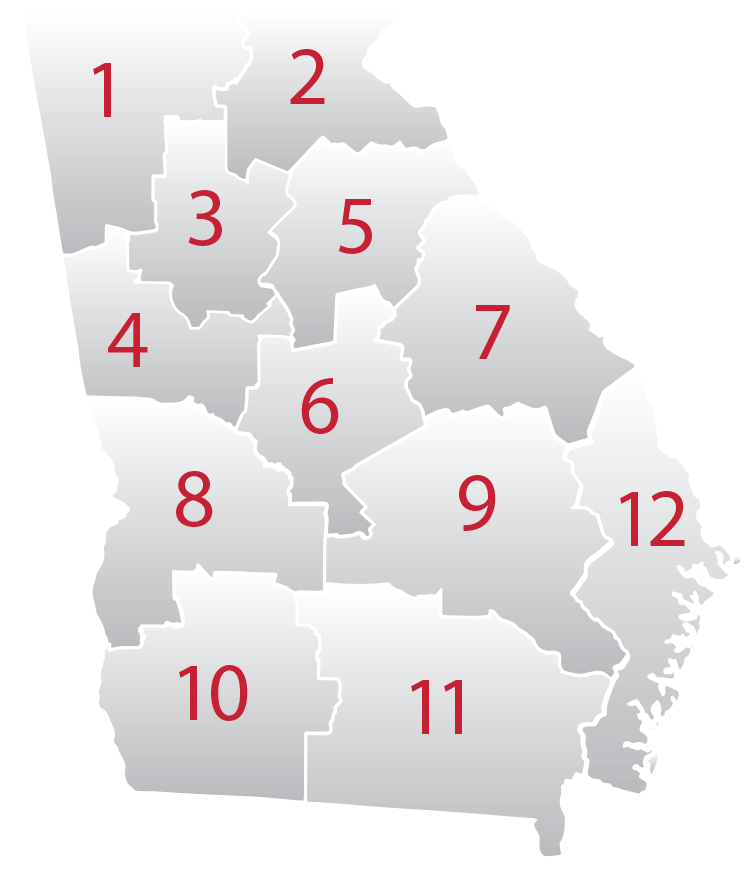 Georgia regions