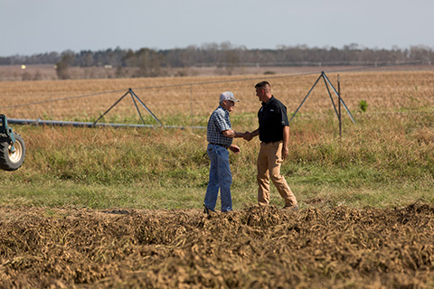 farmers standing in a crop field