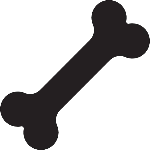 Foundation Report